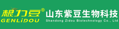 山东紫豆生物科技有限公司